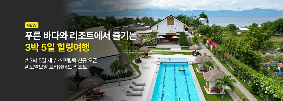 세부점 스프링팩