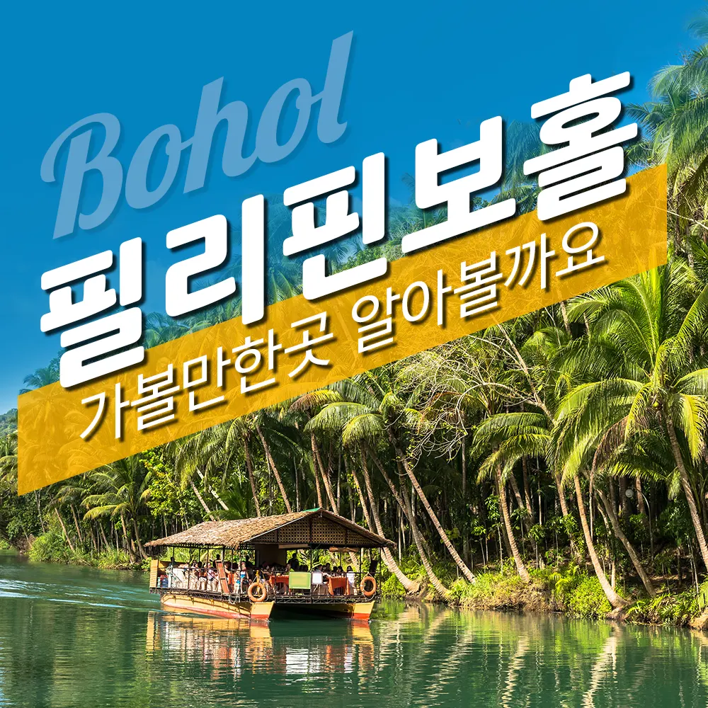 필리핀보홀 가볼만한곳 알아볼까요