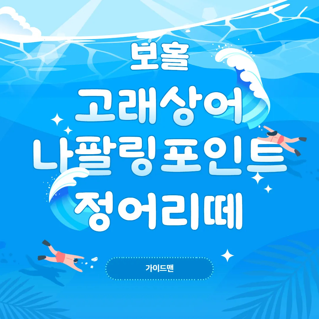 보홀 고래상어 나팔링포인트 정어리떼 즐겨보세요