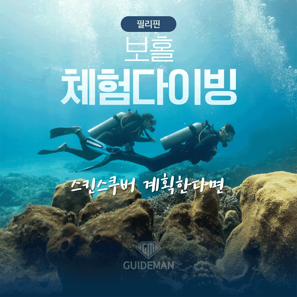필리핀 보홀 체험다이빙 스킨스쿠버 계획한다면
