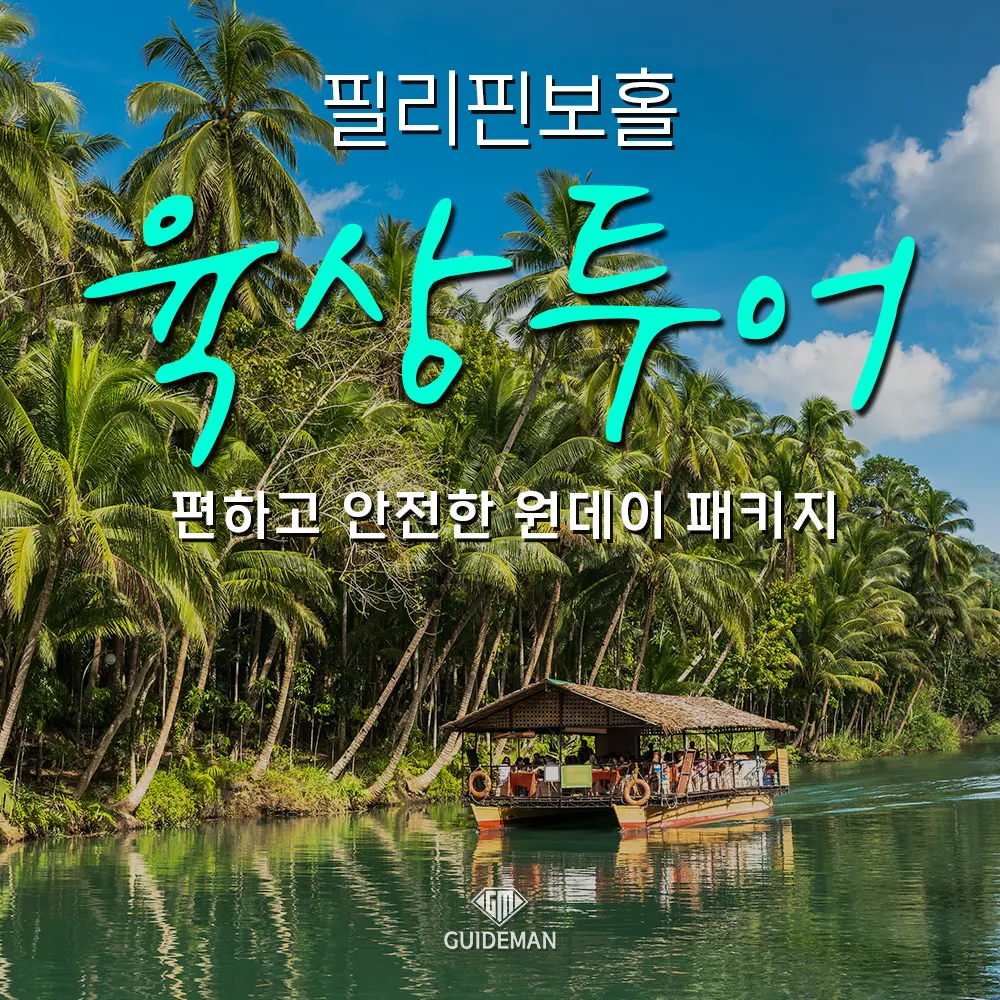 필리핀보홀육상투어 편하고 안전한 원데이 패키지