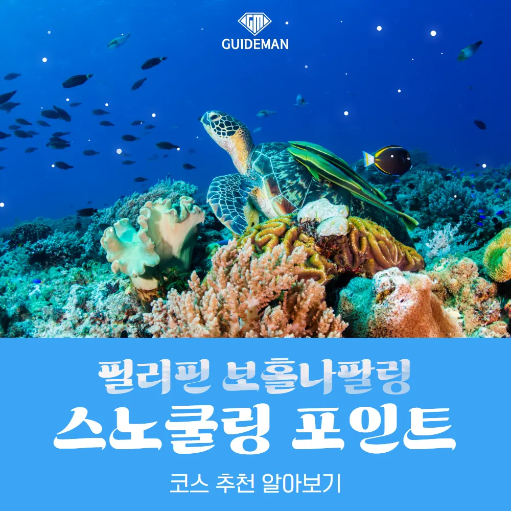 필리핀 보홀나팔링 스노쿨링 포인트 코스추천 알아보기