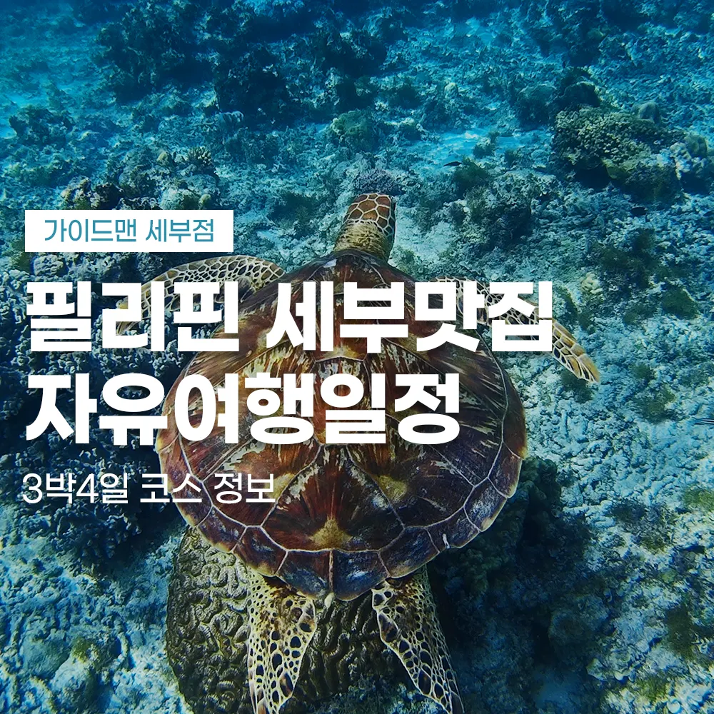 필리핀 세부맛집 자유여행일정 3박4일 코스 정보