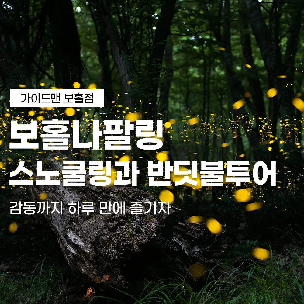 보홀나팔링 스노쿨링과 반딧불투어 감동까지 하루만에 즐기자