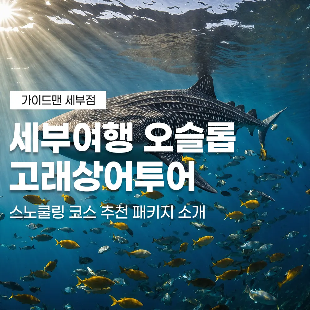세부여행 오슬롭 고래상어투어 스노쿨링 코스 추천 패키지 소개