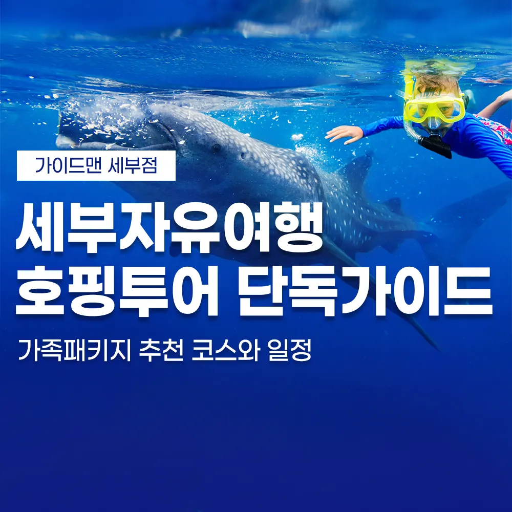 세부자유여행 호핑투어 단독가이드 가족패키지 추천 코스와 일정