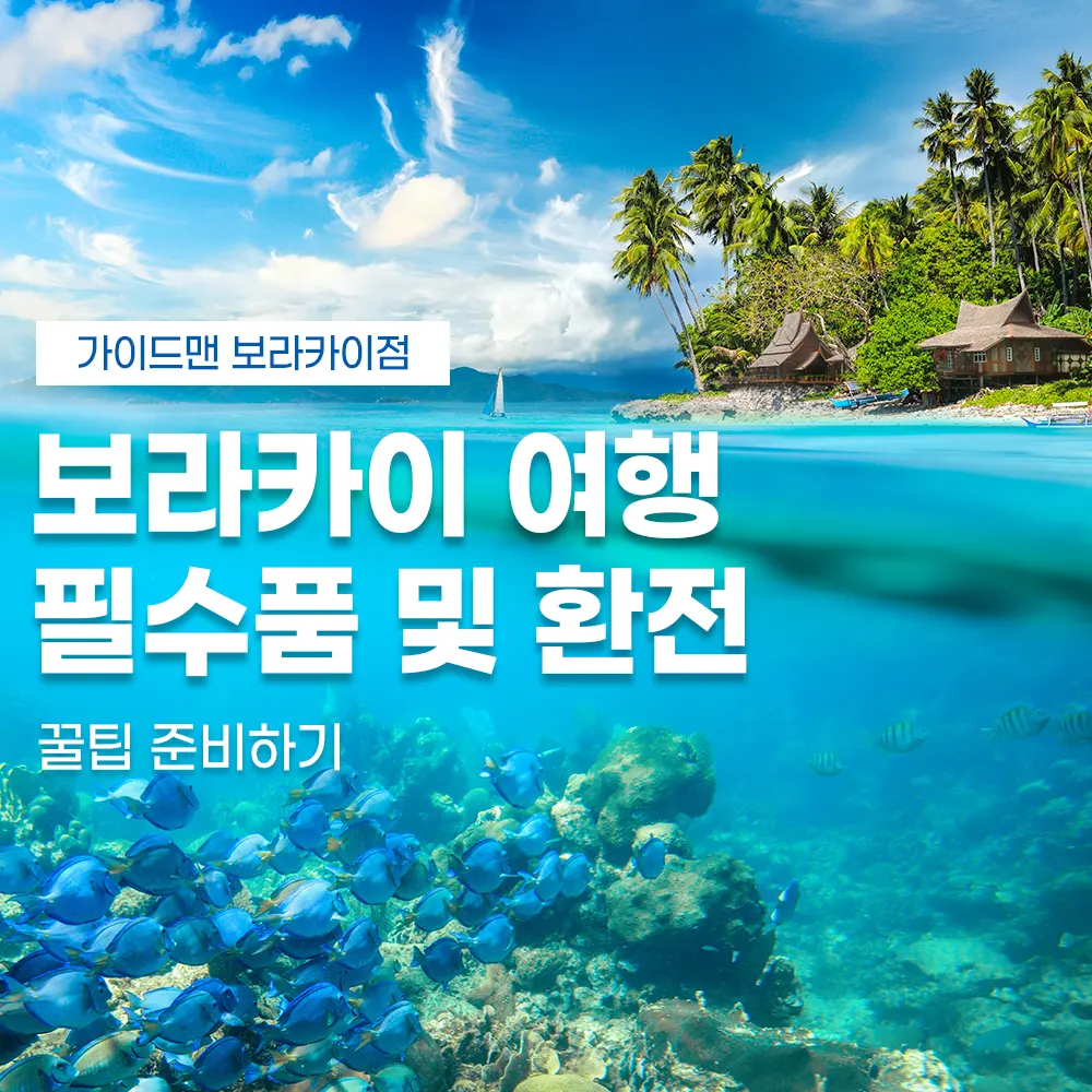 보라카이 여행 필수품 및 환전 꿀팁 준비하기