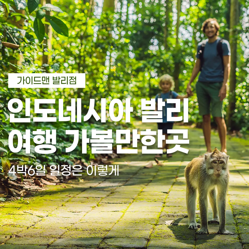 인도네시아 발리 여행 가볼만한곳 4박6일 일정은 이렇게