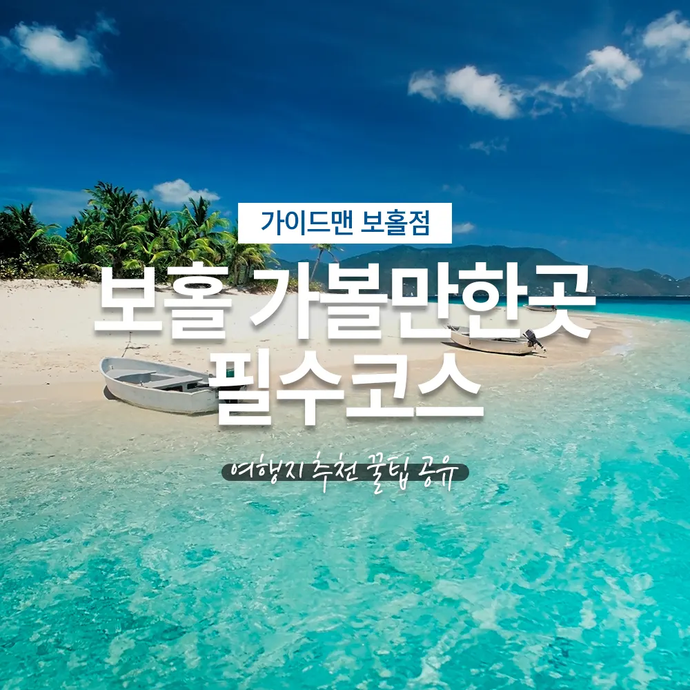 필리핀 보홀 가볼만한곳 필수코스 여행지 추천 꿀팁 공유