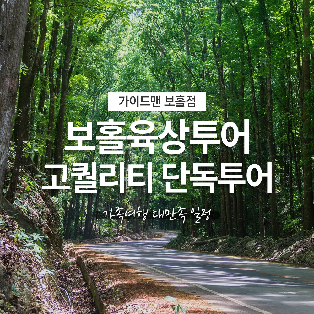 필리핀 보홀육상투어 고퀄리티 단독투어 가족여행 대만족 일정