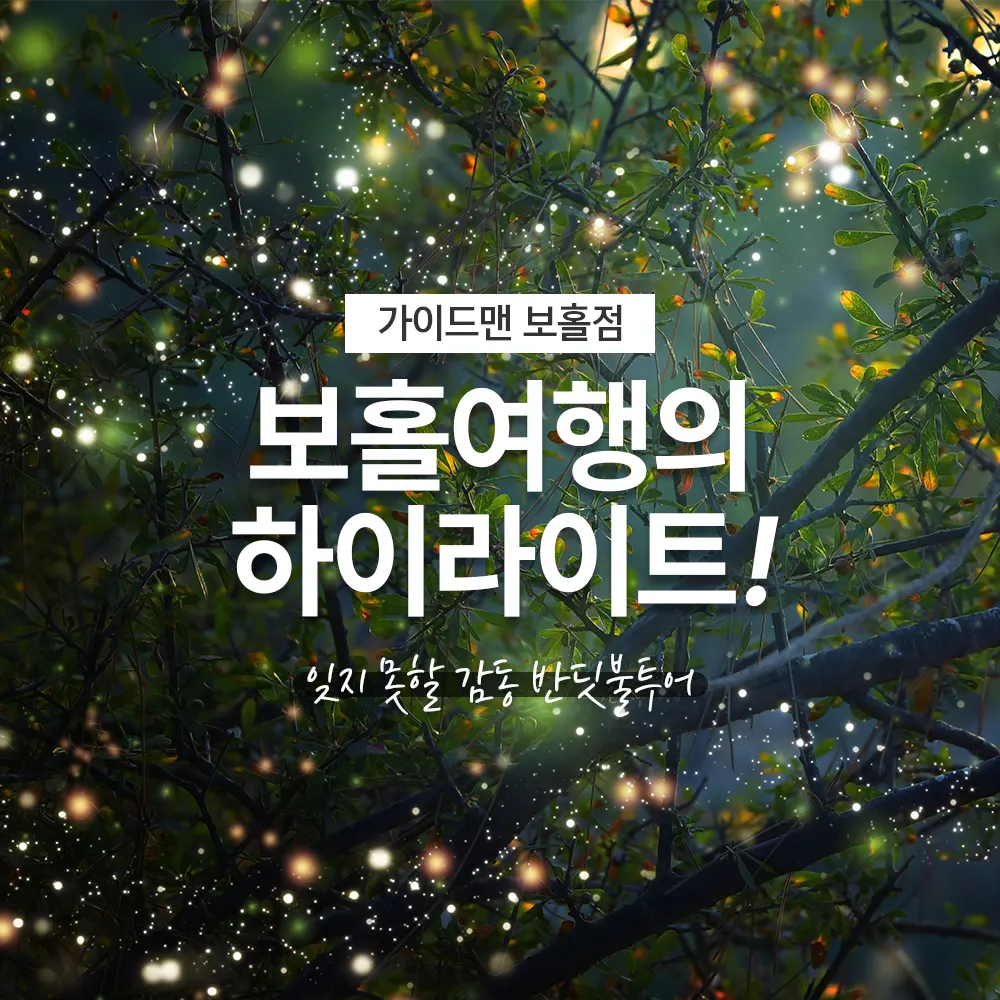 필리핀 보홀여행의 하이라이트! 잊지 못할 감동 반딧불투어