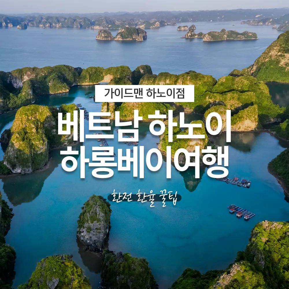 베트남 하노이 하롱베이여행 환전 환율 꿀팁