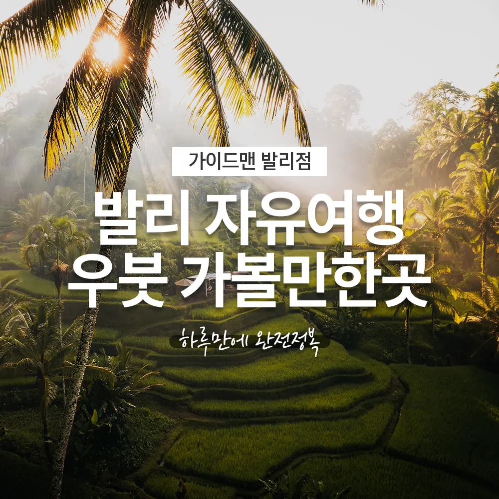 발리 자유여행 우붓 가볼만한곳 하루만에 완전정복