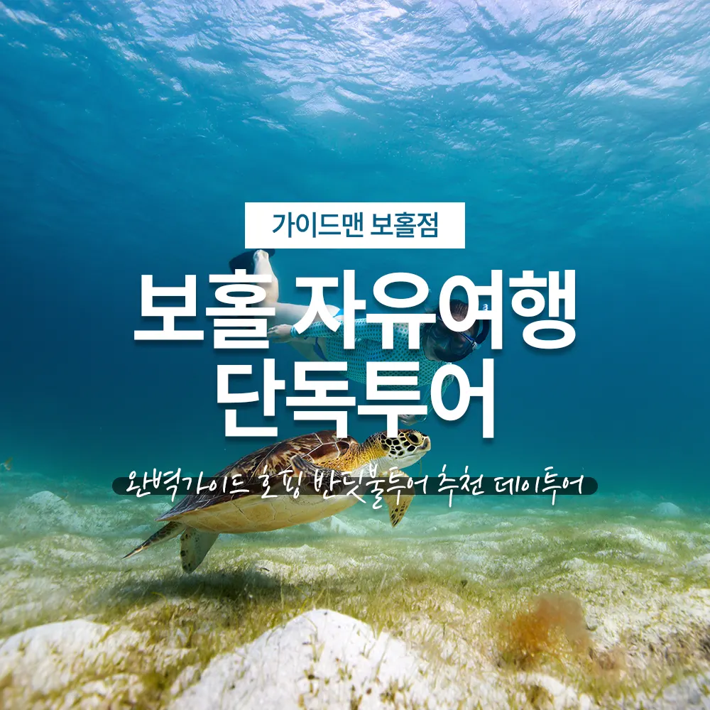 보홀 자유여행 단독투어 완벽가이드 호핑 반딧불투어 추천 데이투어