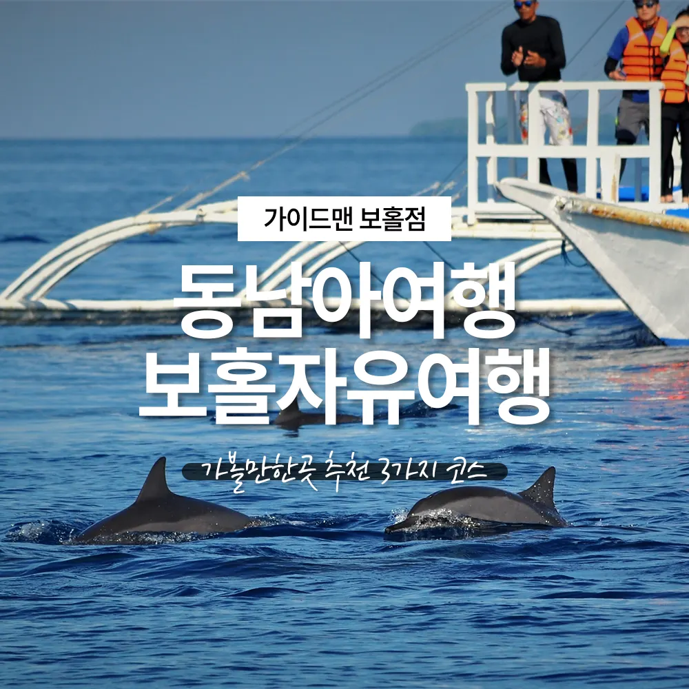 동남아여행 필리핀 보홀자유여행 가볼만한곳 추천 3가지 코스