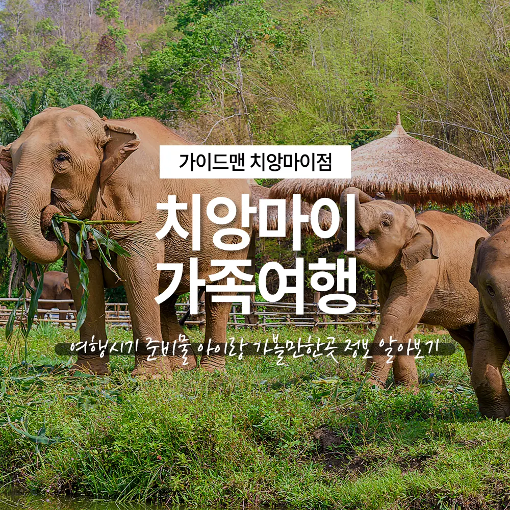 치앙마이 가족여행 여행시기 준비물 아이랑 가볼만한곳 정보 알아보기