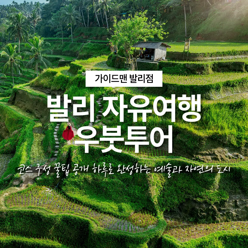 발리 자유여행 우붓투어 코스 구성 꿀팁 공개 하루로 완성하는 예술과 자연의 도시