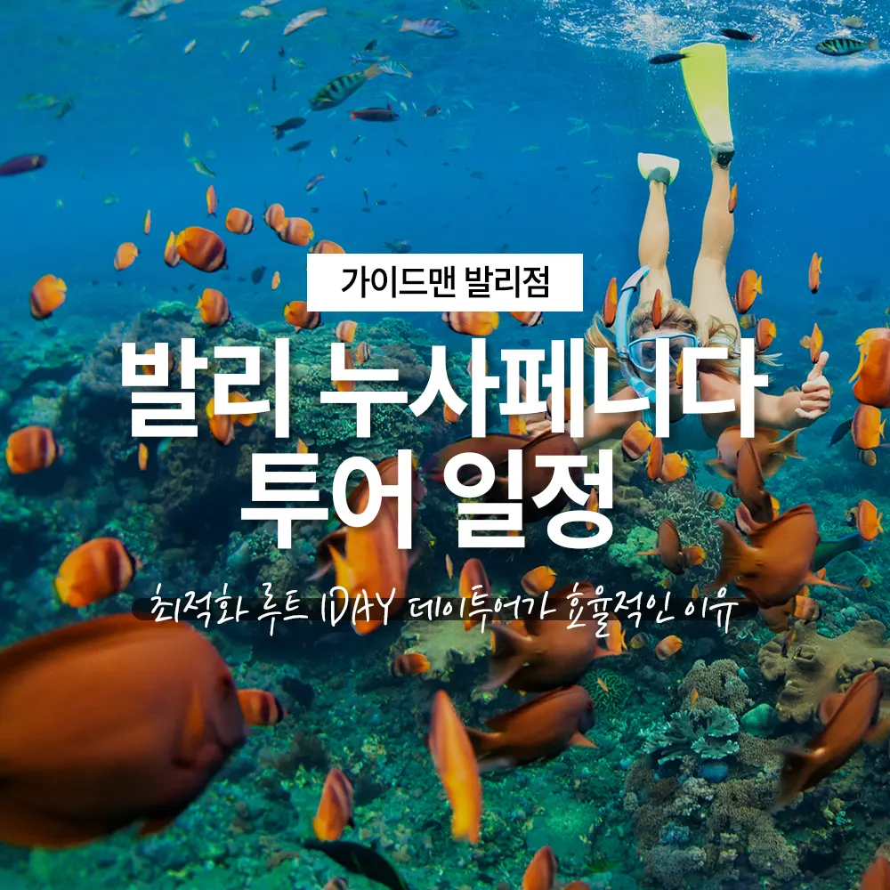 발리 누사페니다 투어 일정 최적화 루트 1DAY 데이투어가 효율적인 이유