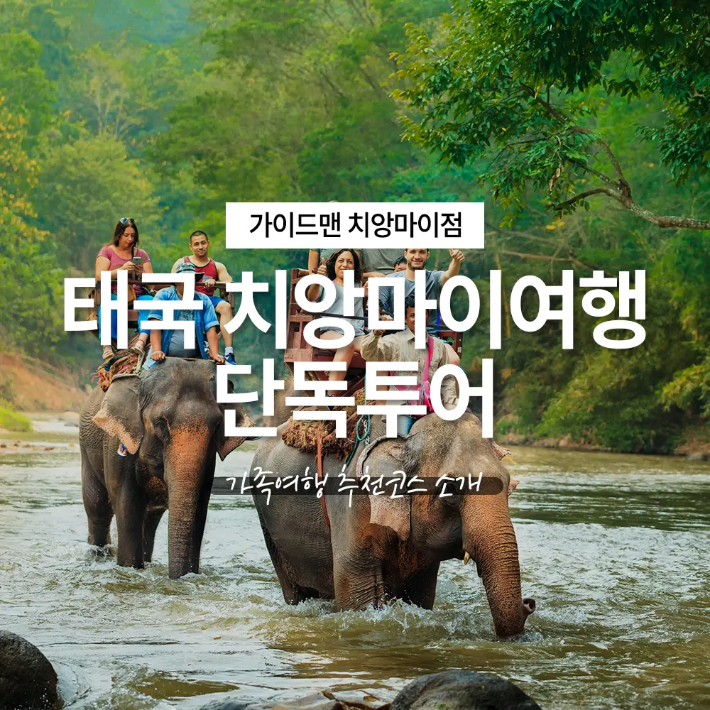 태국 치앙마이여행 단독투어 가족여행 추천코스 소개