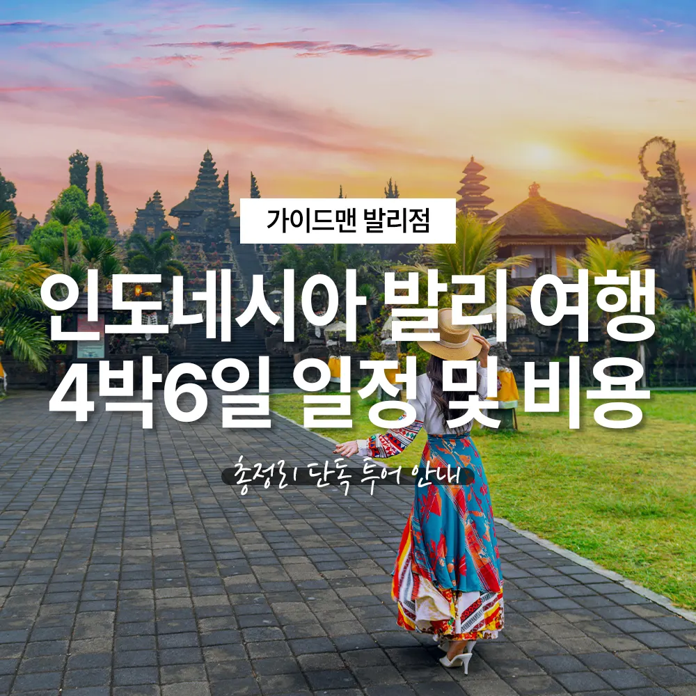 인도네시아 발리 여행 4박6일 일정 및 비용 총정리 단독 투어 안내