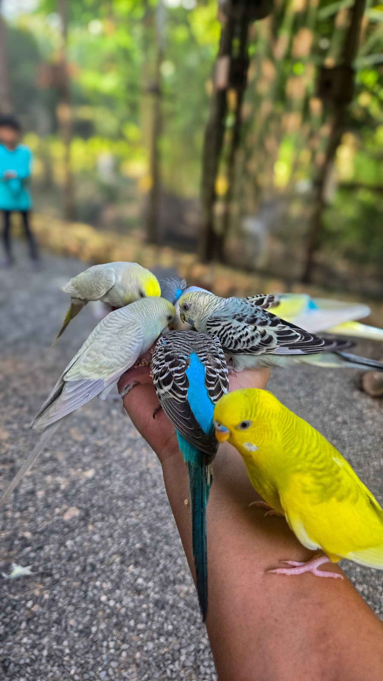 사우스팜에서 앵무새와 함께 찰칵!