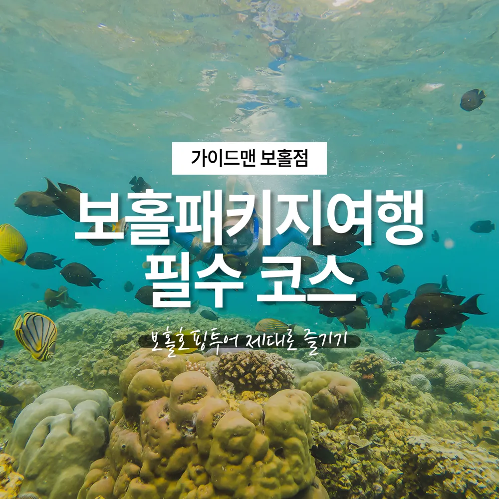 보홀패키지여행 필수 코스 보홀호핑투어 제대로 즐기기