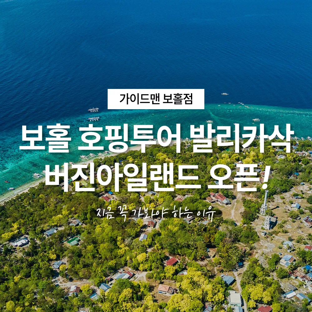 보홀 호핑투어 발리카삭 버진아일랜드 오픈! 지금 꼭 가봐야 하는 이유