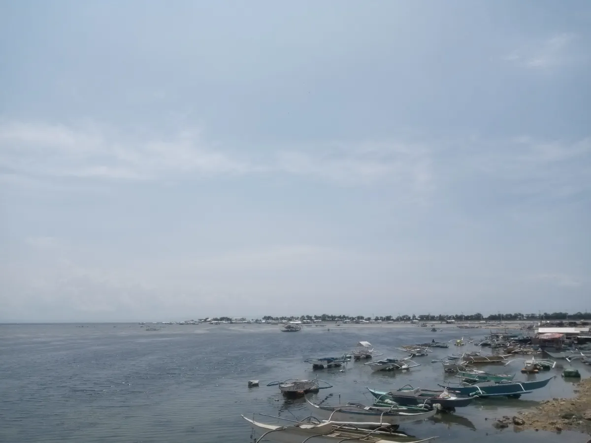 세부 현지 사진