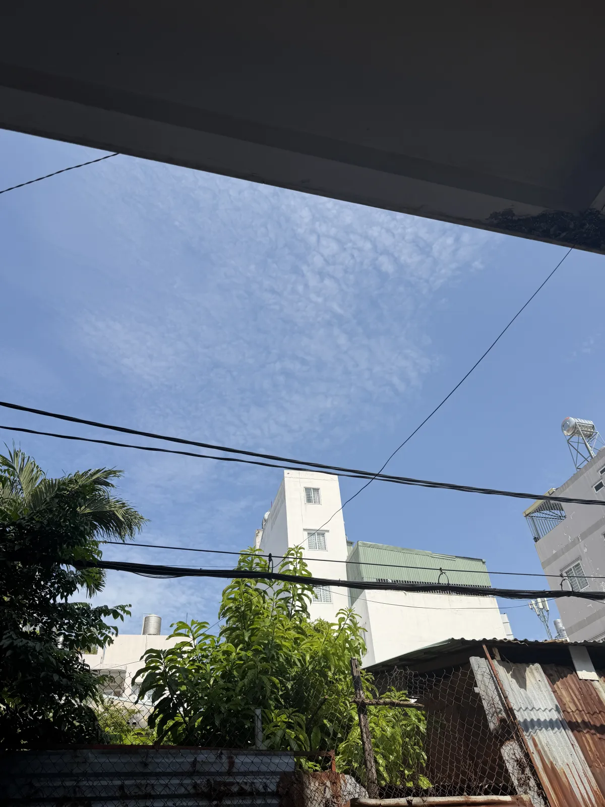 호치민 현지 사진