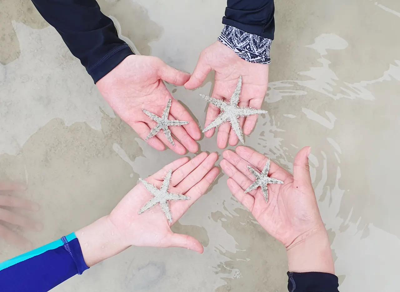 [세부] 4인4색 여행러버, 세부에 다녀왔습니다!
