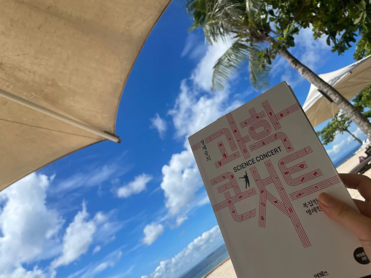 [세부] 행복한 세부에서의 4박6일