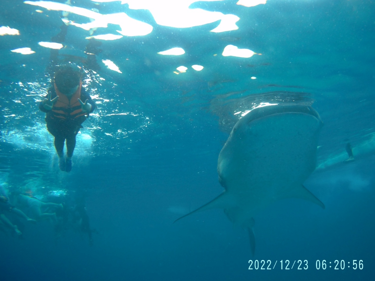 [세부] 즐거운 세부여행~^^