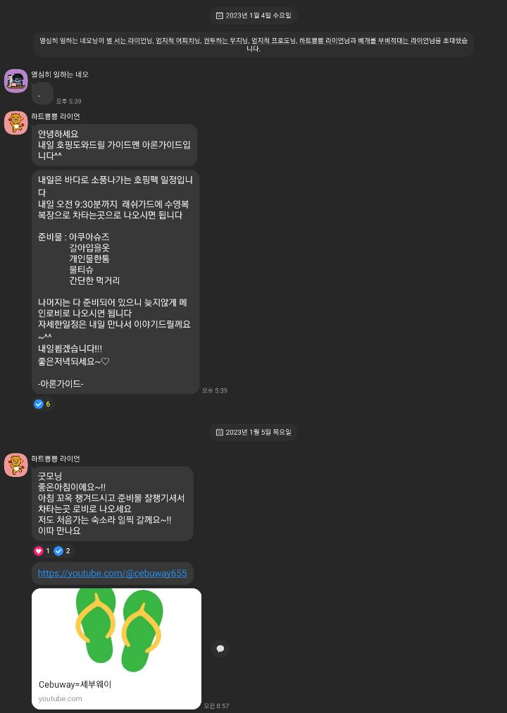 [세부] 지금까지 이런 가이드는 없었다. 아론님은 가이드인가, 역사 1타 강사인가 아니면 핵인싸인가...[세부 여행]