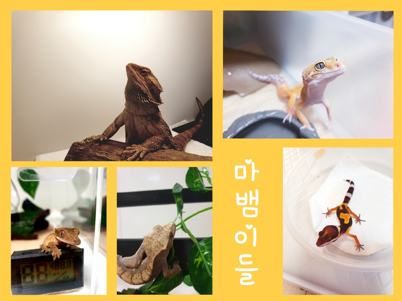 [세부] 세부 가족여행 다녀왔습니다!! (에단 삼촌 최고!!)