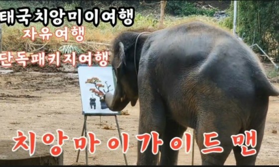 [치앙마이] [공유] 내돈내산/치앙마이여행후기