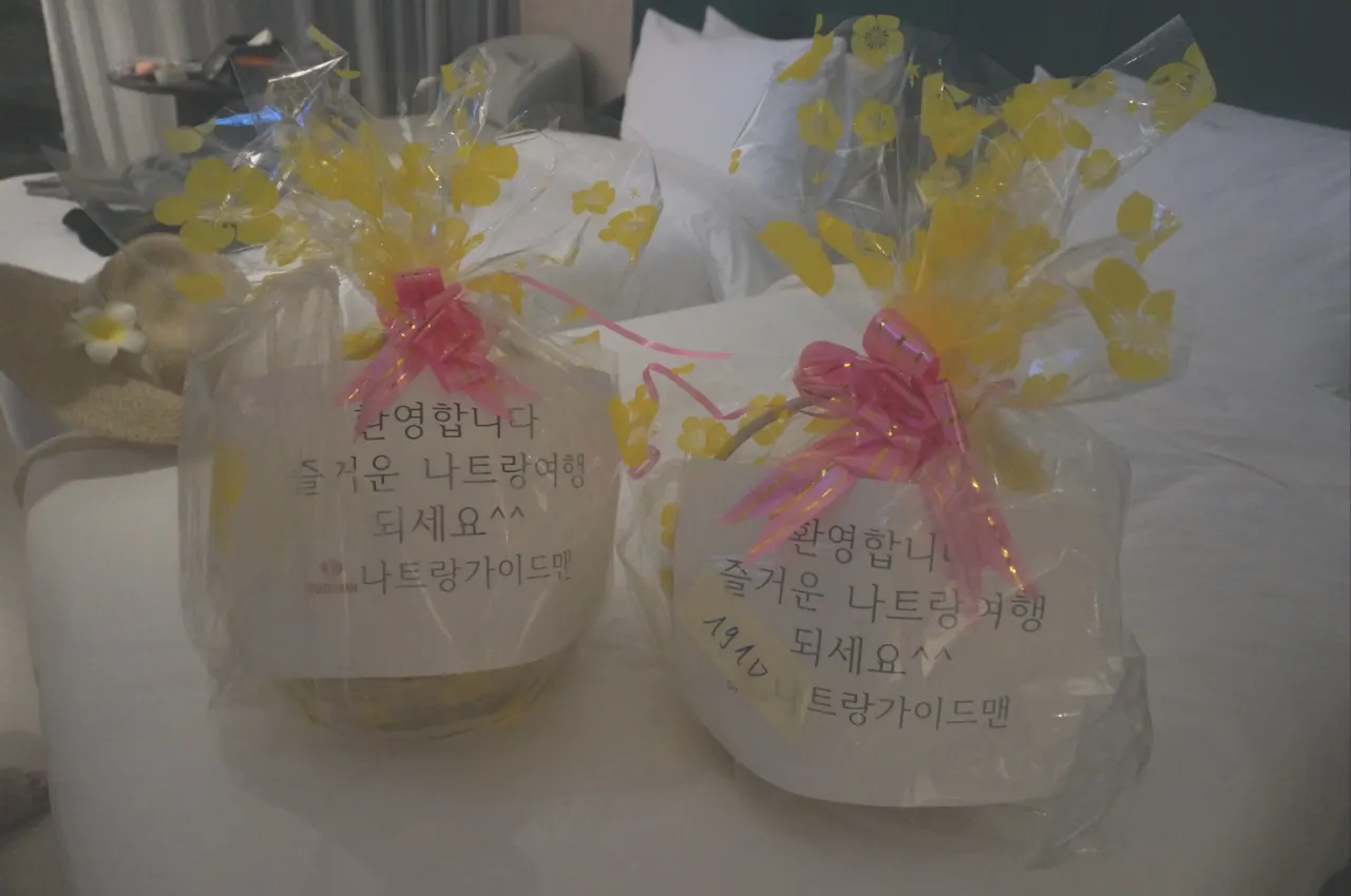 [다낭] ☆★가이드맨과 함께한 즐거운 호핑팩&시티팩 후기(시티팩)★☆