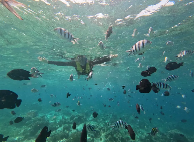 [여행후기  ] 세부여행 (nadia 가이드님)